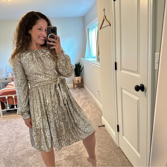 NWT Anthropologie Sachin & Babi Silver Sequin Mini Dress 4 - Picture 5 of 16